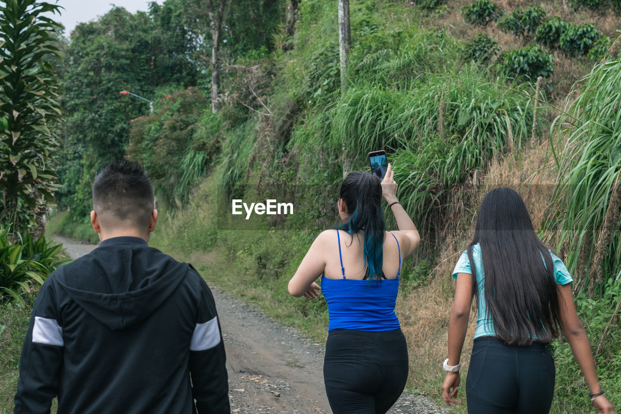 rear view, group of people, adult, plant, tree, women, nature, lifestyles, land, friendship, forest, small group of people, leisure activity, young adult, activity, green, men, togetherness, three quarter length, outdoors, clothing, day, sports, walking, person, hiking, environment, jungle