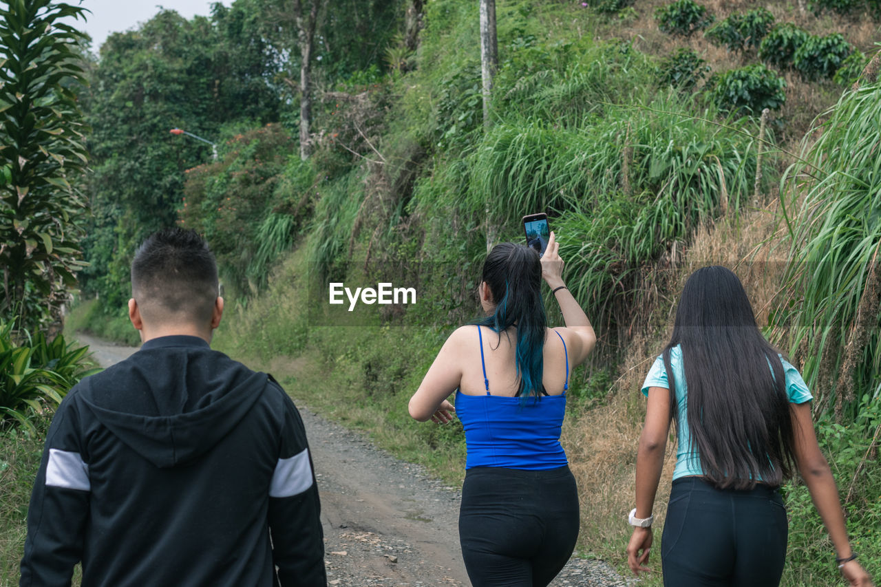 rear view, group of people, adult, plant, tree, women, nature, lifestyles, land, friendship, forest, small group of people, leisure activity, young adult, activity, green, men, togetherness, three quarter length, outdoors, clothing, day, sports, walking, person, hiking, environment, jungle