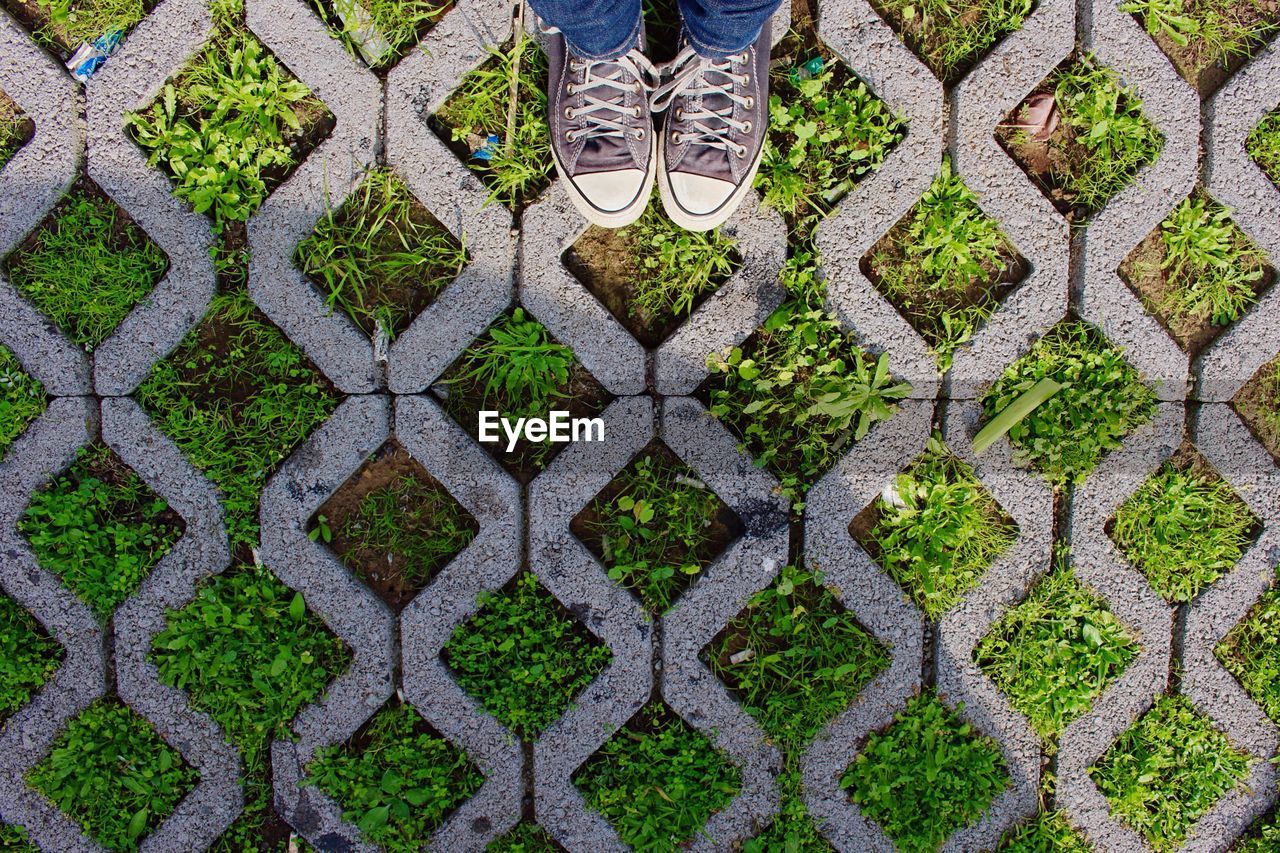 Full frame shot of tiled floor