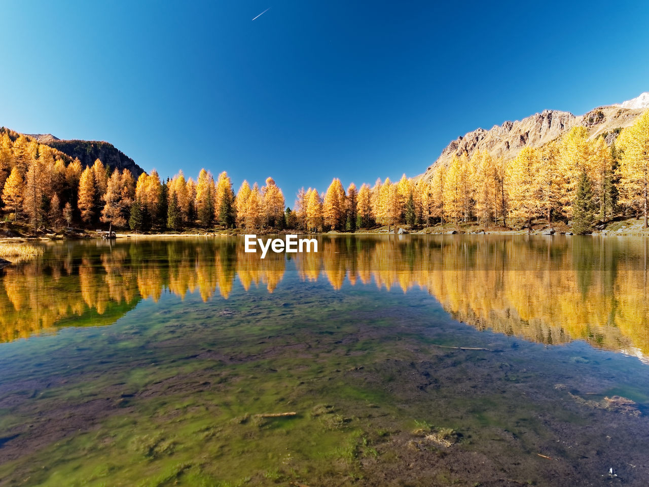 Scenic view of lake against clear blue sky