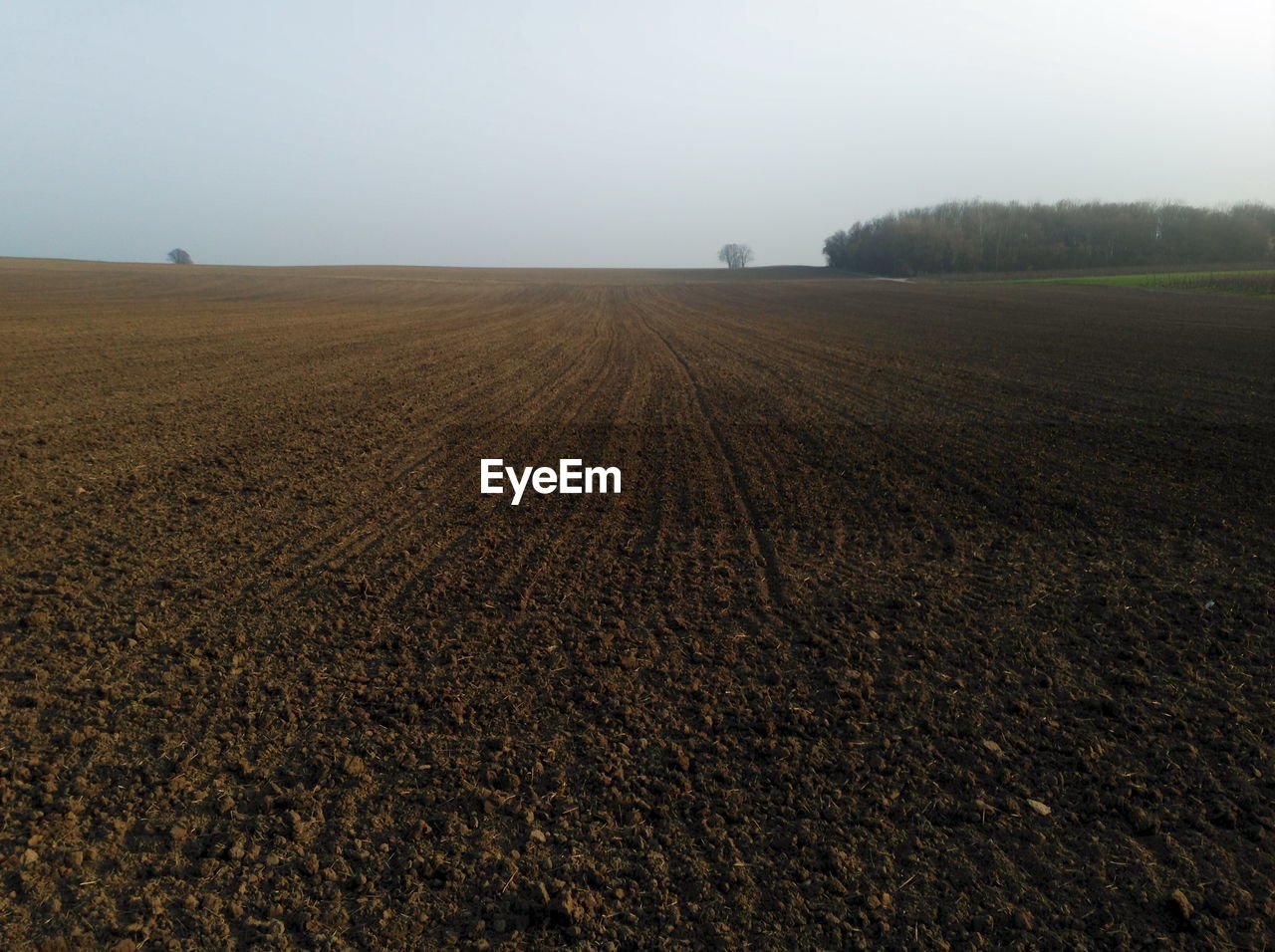 FIELD AGAINST SKY