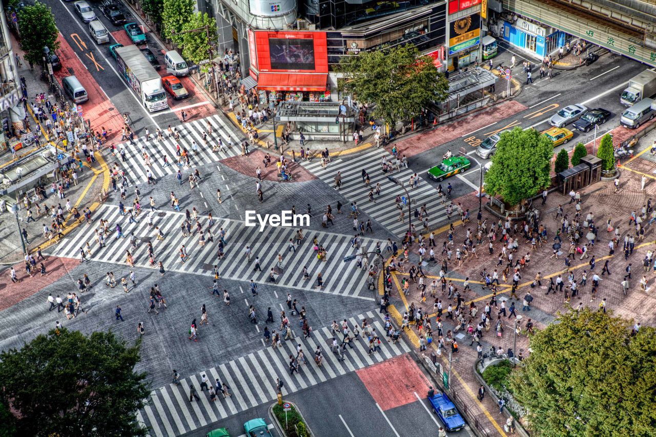 Aerial view of pedestrians crossing road