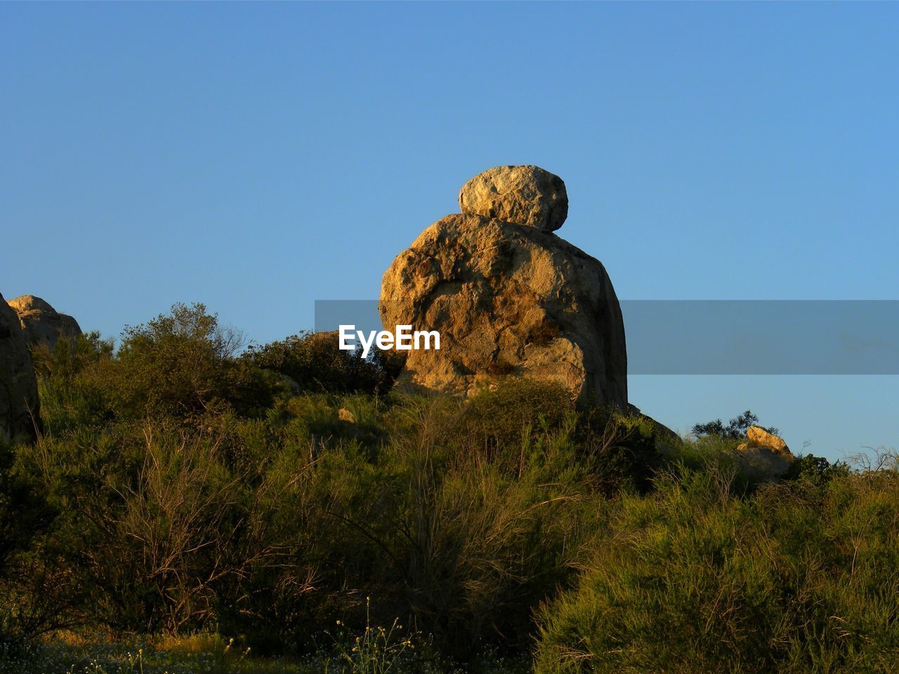 LOW ANGLE VIEW OF STATUES AGAINST CLEAR SKY