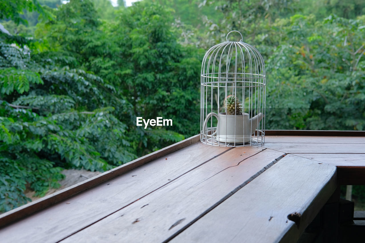 WOODEN TABLE IN BACKYARD