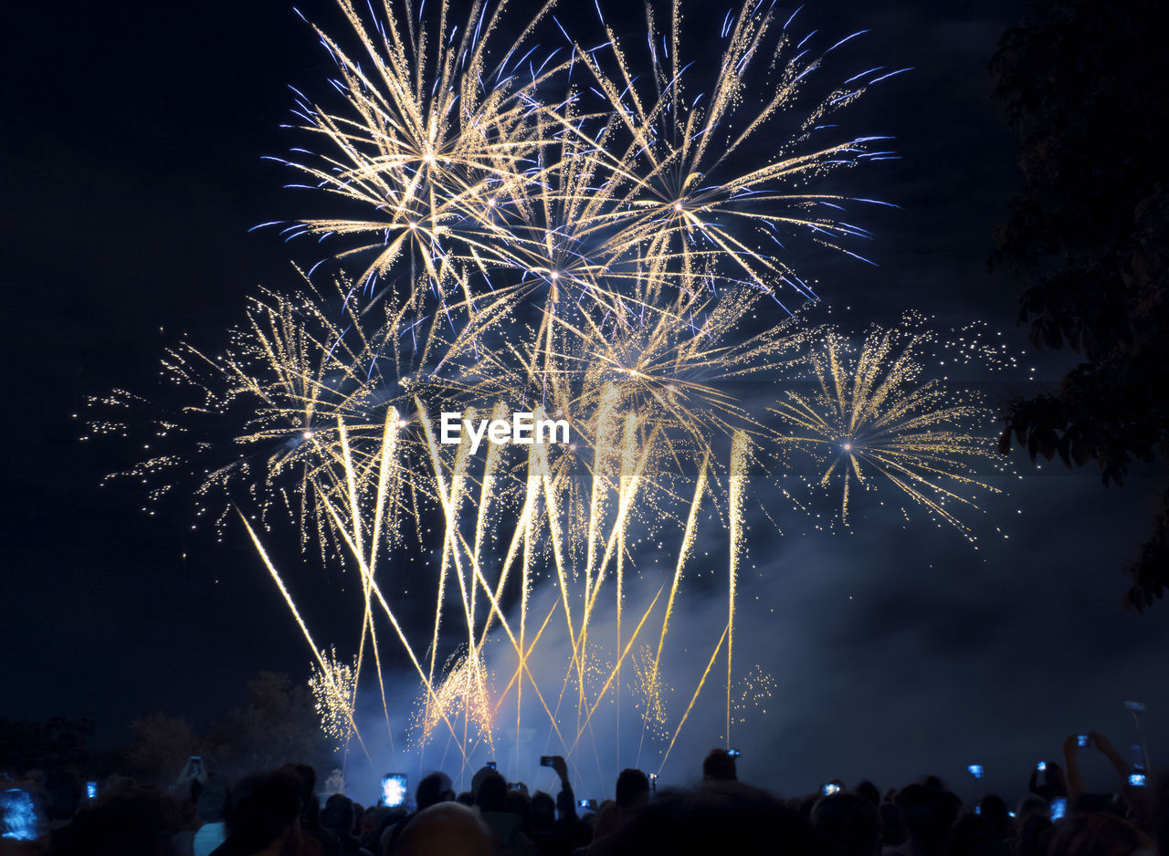 Low angle view of fireworks display at night