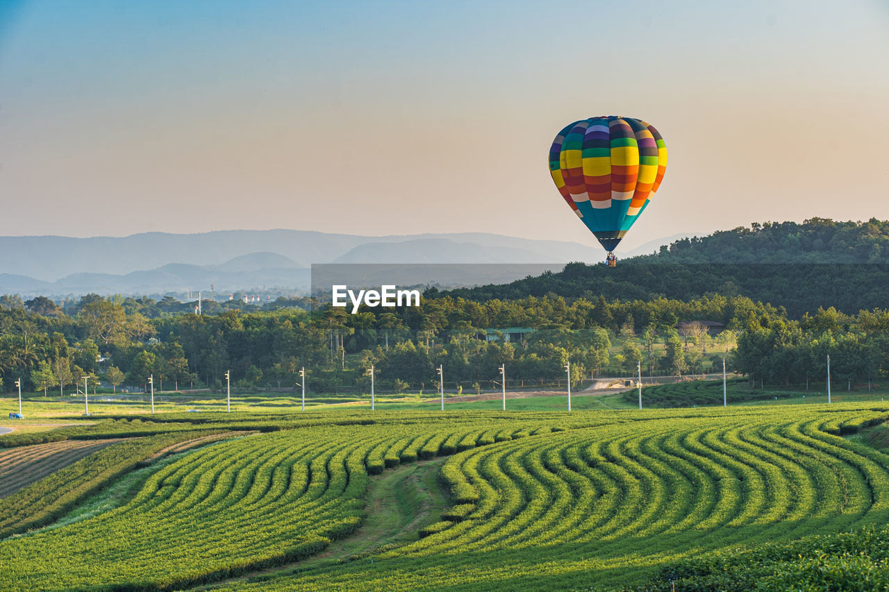 Balloons flying air over the singha park, international balloon festival in chaing rai, thailand