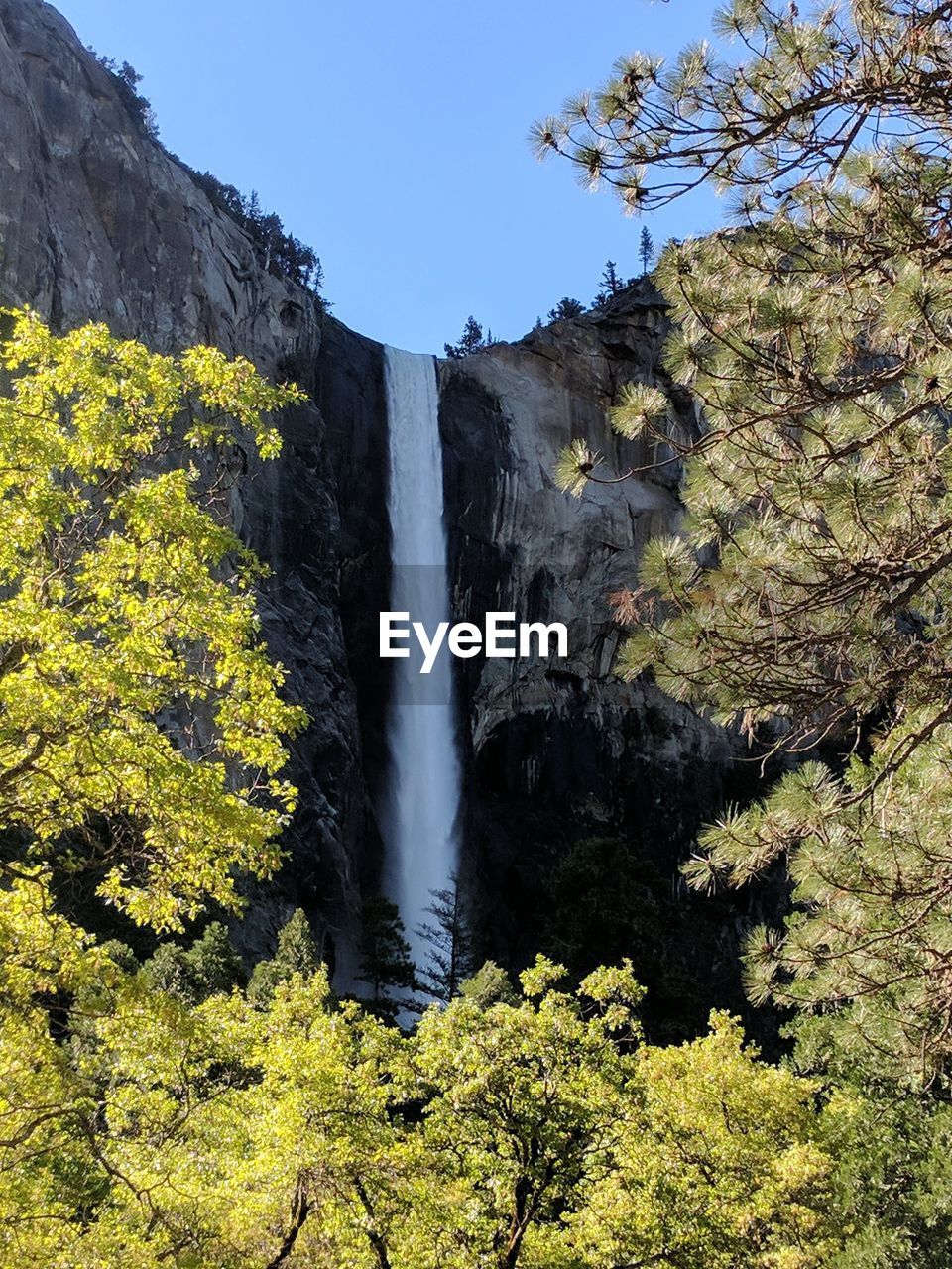 Scenic view of waterfall in forest against clear sky
