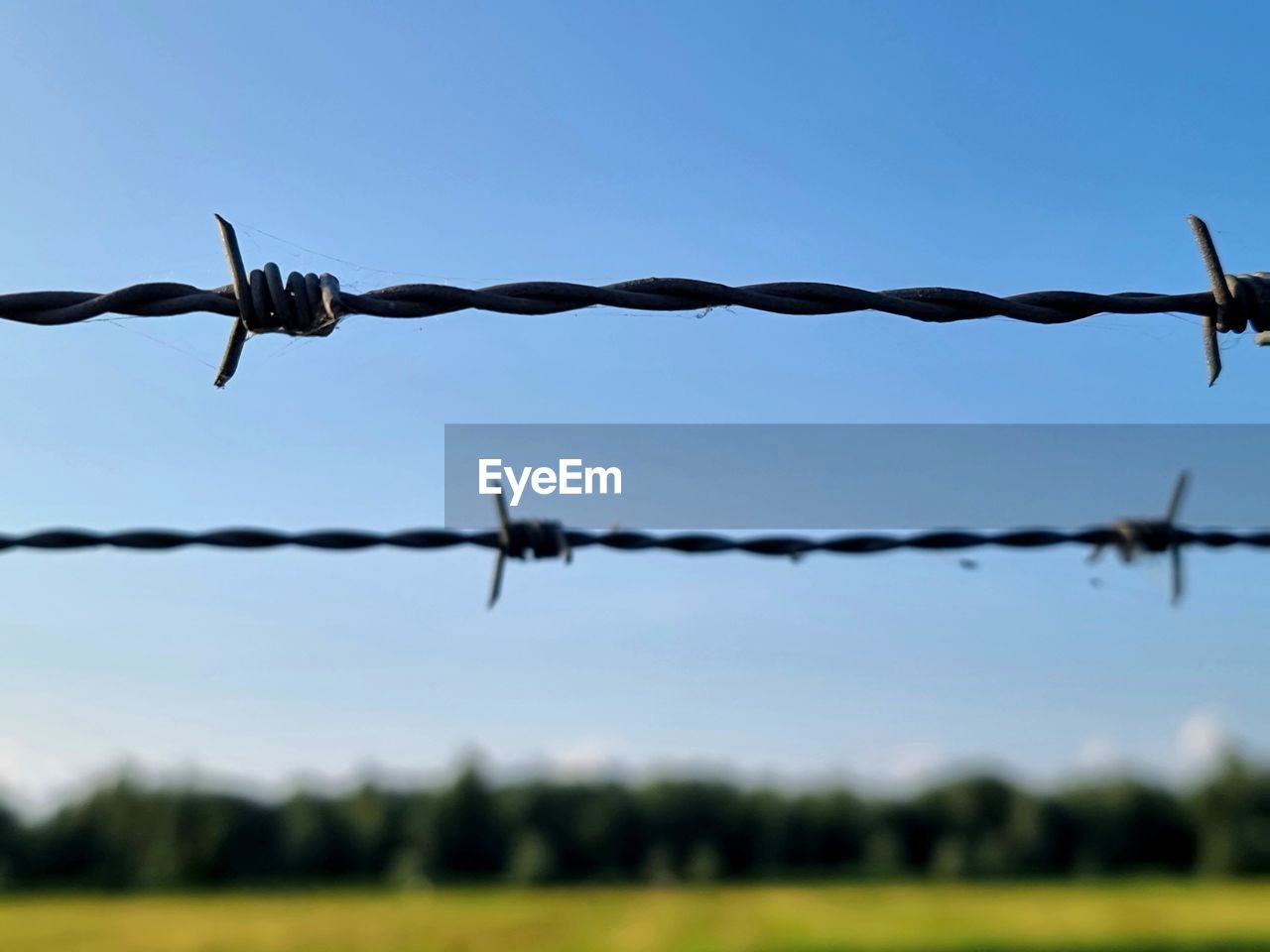 CLOSE-UP OF BARBED WIRE FENCE ON FIELD