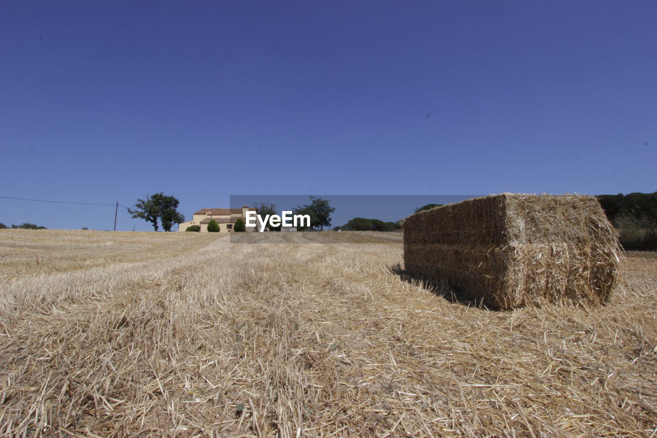 Agricultural field against clear blue sky