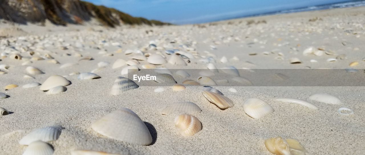 CLOSE-UP OF PEBBLES ON SAND AT BEACH