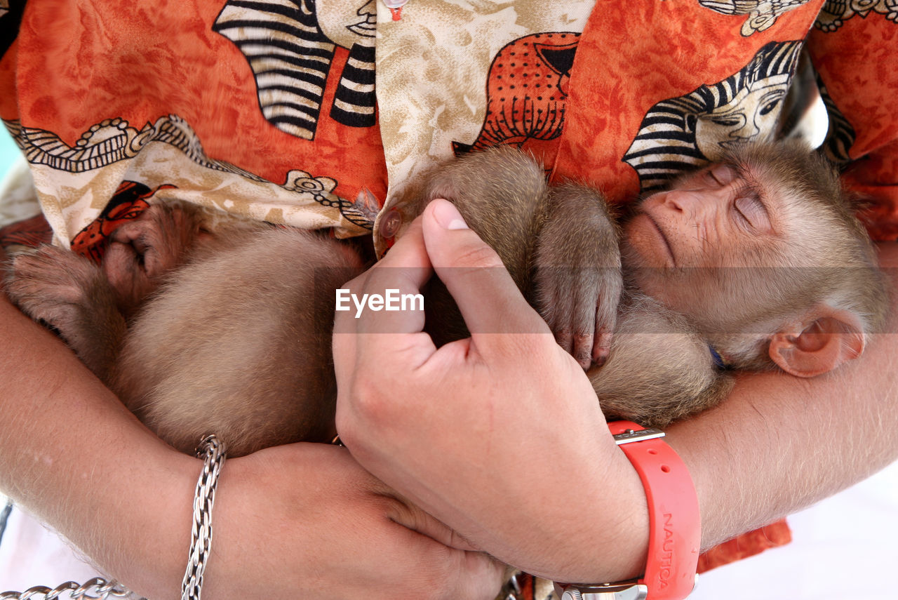 Midsection of man holding monkey in arms