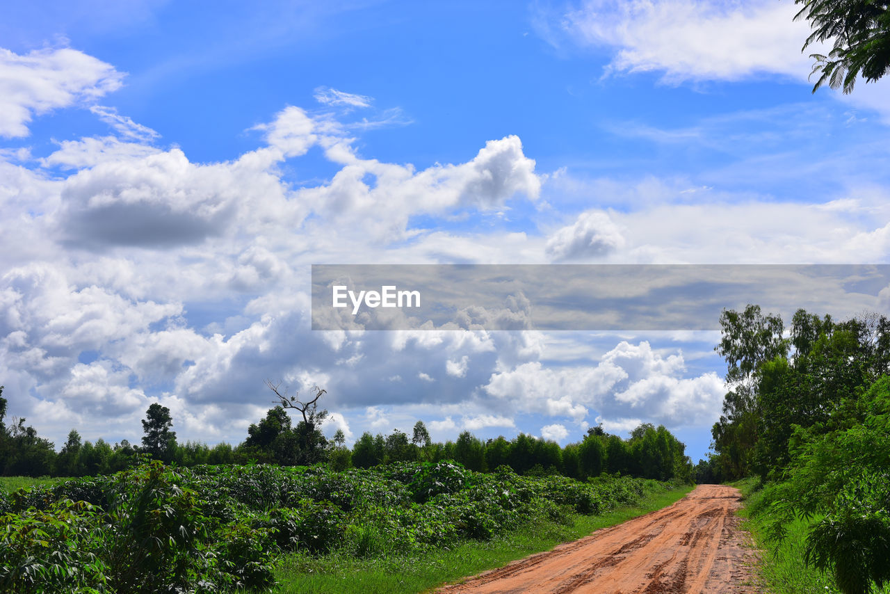sky, cloud, plant, tree, landscape, field, environment, nature, rural area, road, transportation, land, scenics - nature, beauty in nature, hill, horizon, grass, growth, no people, rural scene, green, blue, the way forward, travel, day, agriculture, outdoors, tranquility, non-urban scene, dirt, dirt road, diminishing perspective, tranquil scene, travel destinations, sunlight