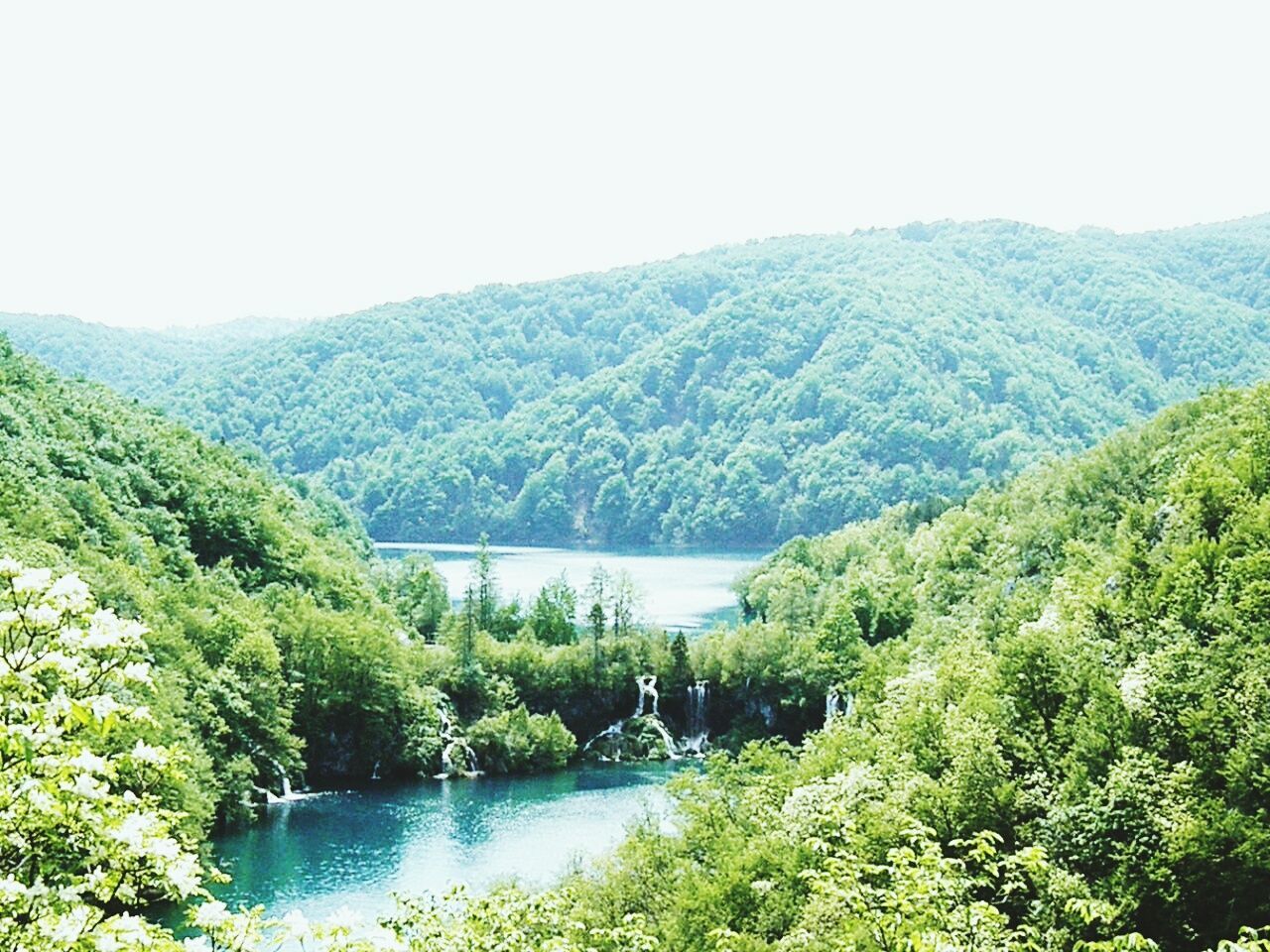 Scenic view of river with trees in background