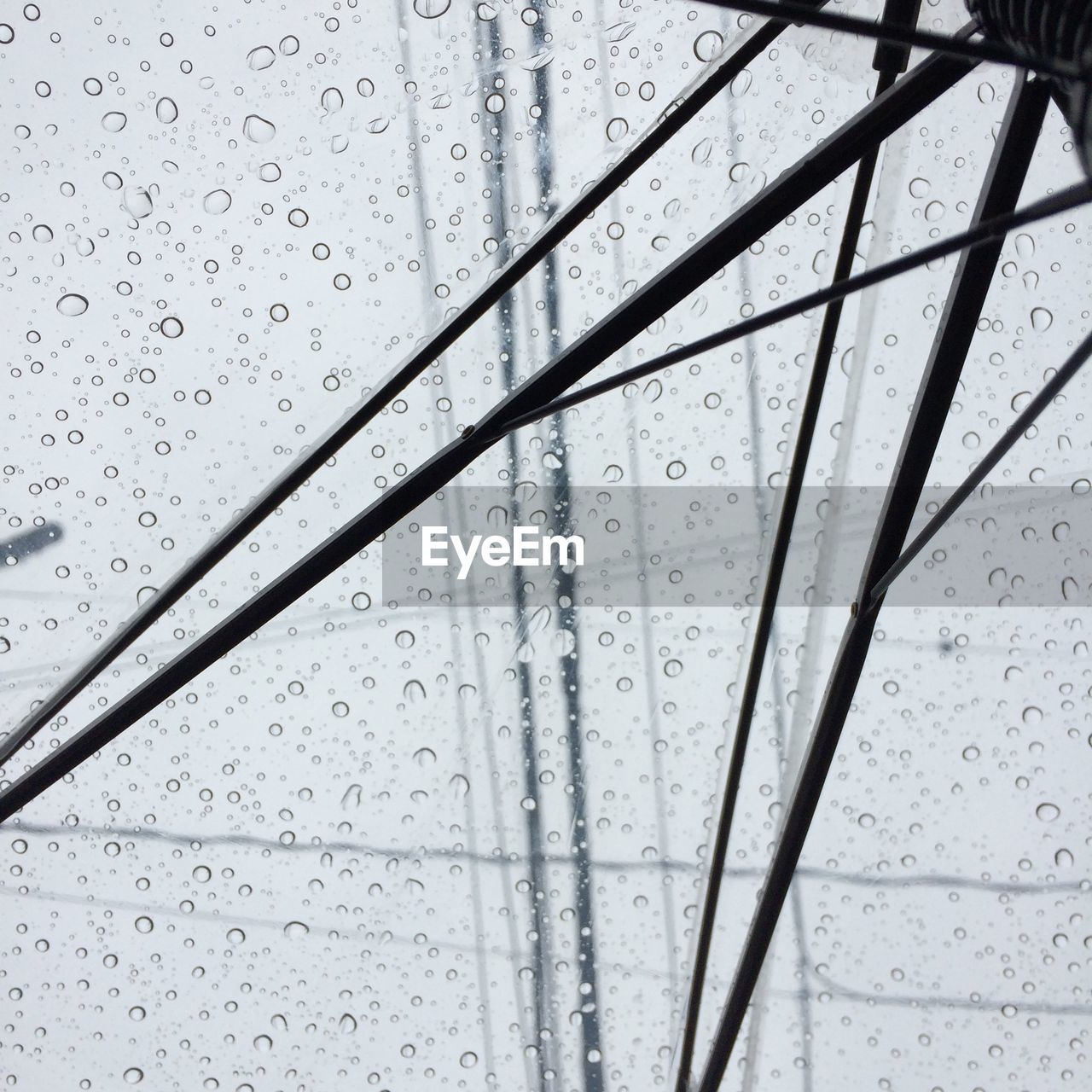 Close-up of waterdrops on umbrella