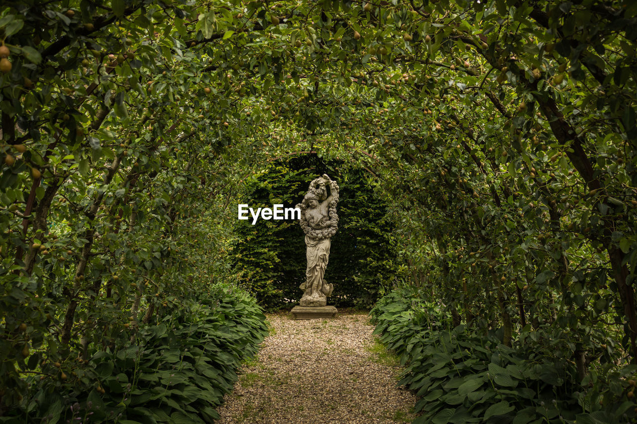 Empty walkway leading towards statue amidst plants at park