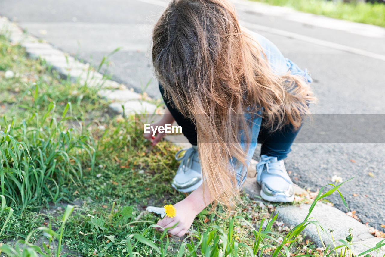 Little girl with blonde hair in jeans and a denim jacket rips off a yellow dandelion in the park