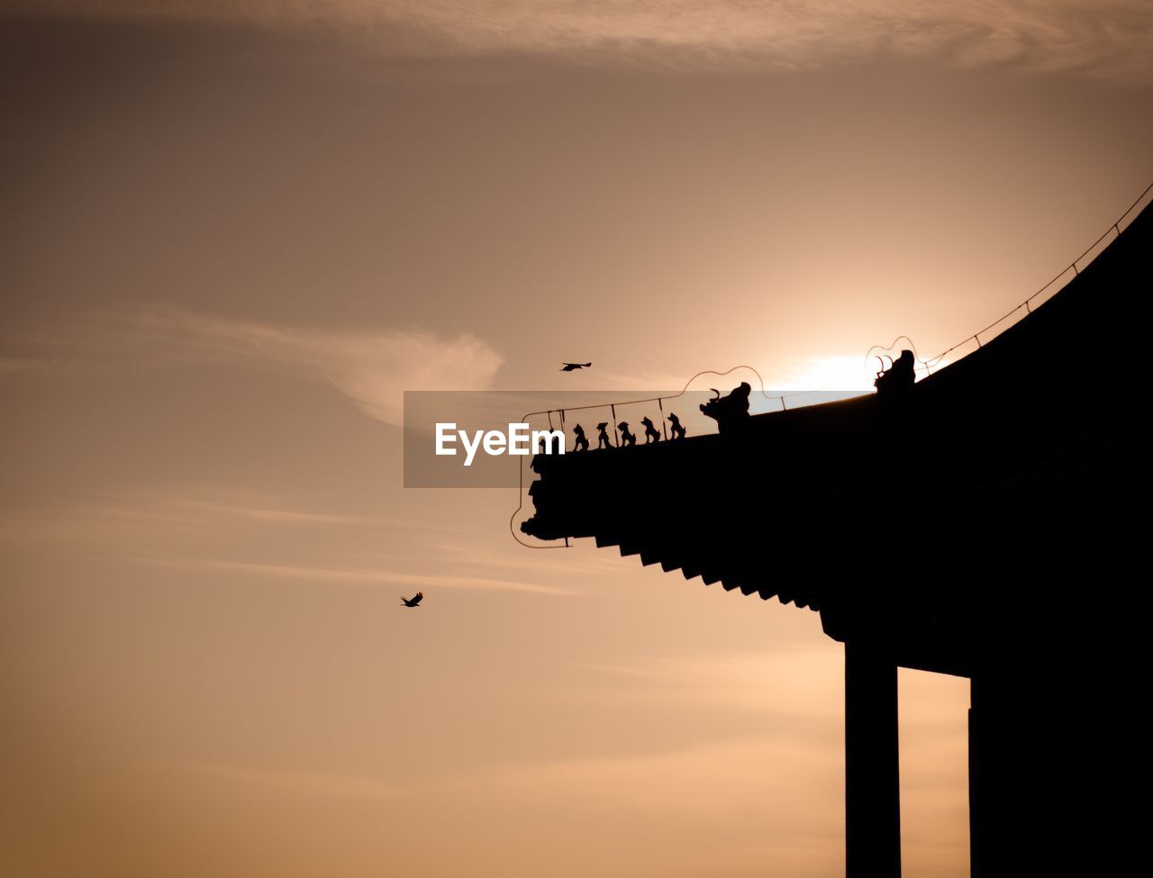 LOW ANGLE VIEW OF SILHOUETTE BIRDS AGAINST SKY