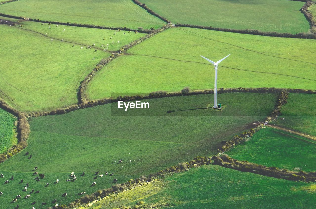 Wind turbines in field