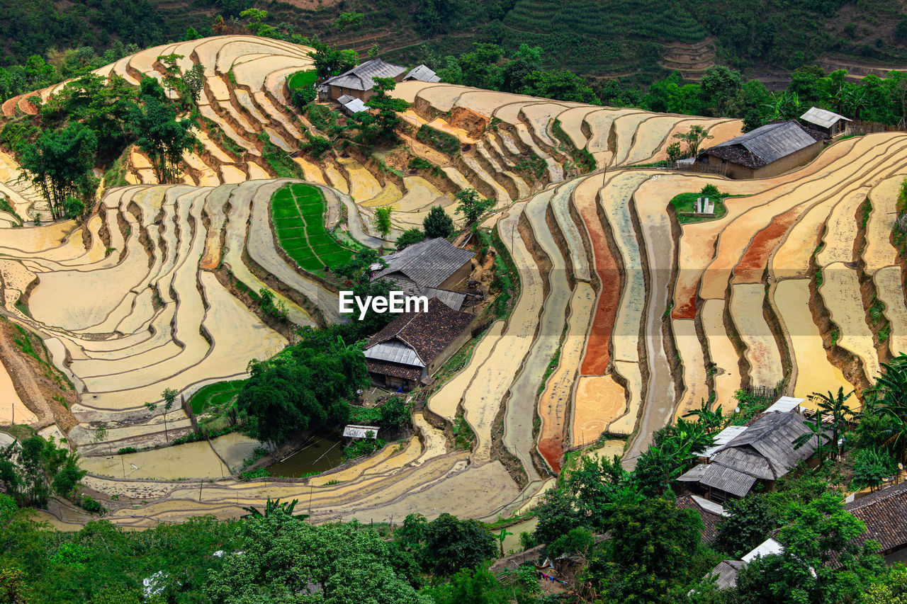 terrace, agriculture, landscape, terraced field, plant, rural scene, land, aerial photography, environment, field, growth, high angle view, scenics - nature, farm, rice paddy, nature, rice, crop, no people, tree, day, beauty in nature, pattern, outdoors, green, tranquility, bird's-eye view, tranquil scene, architecture, aerial view, mountain