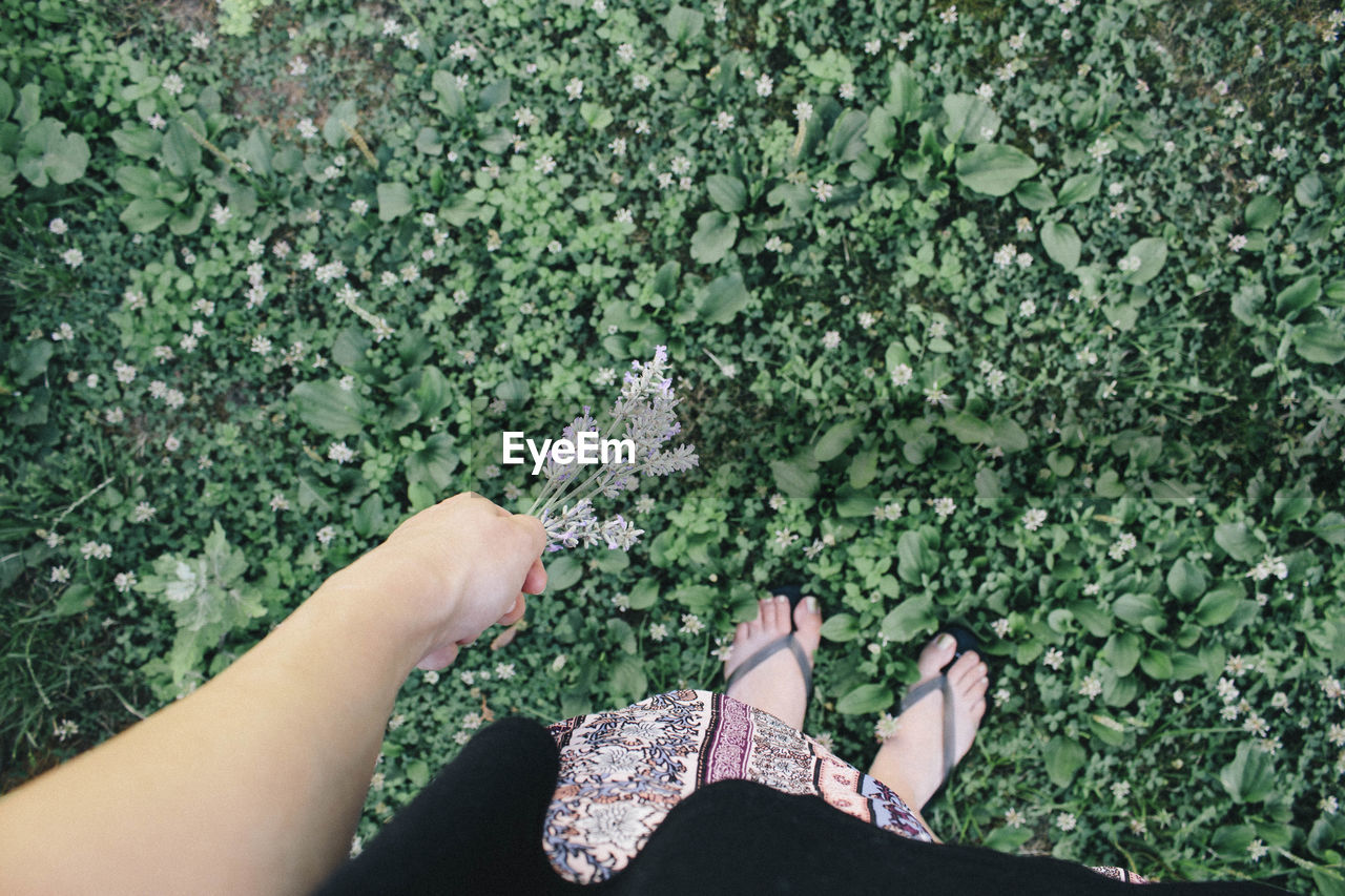 Low section of woman holding flower