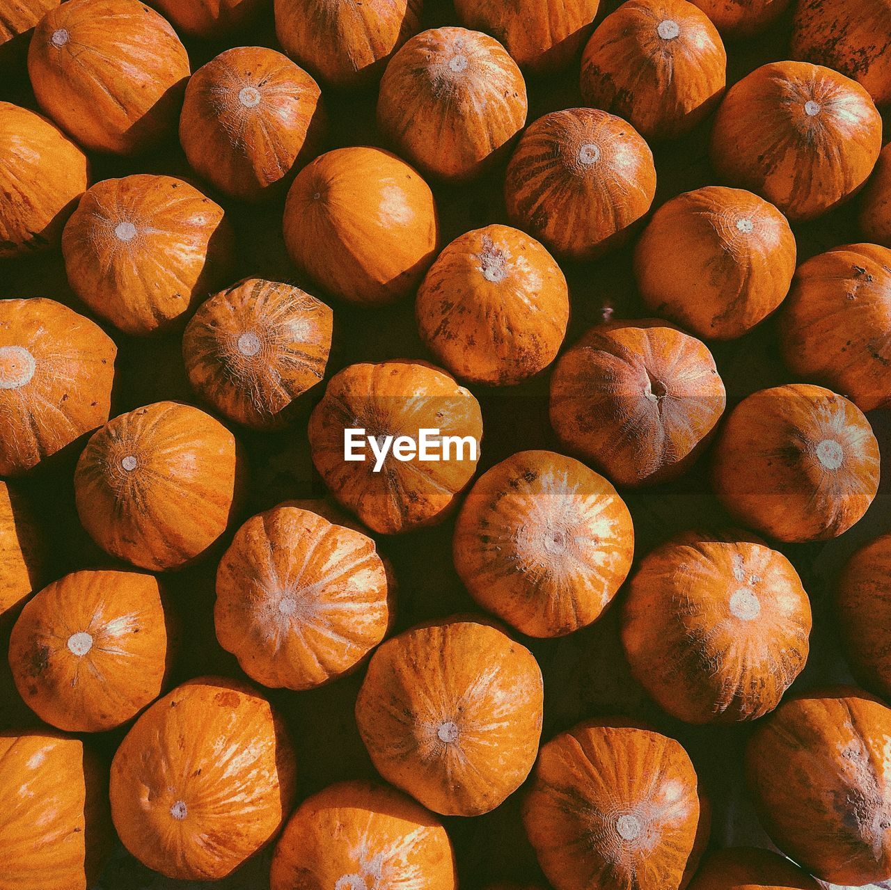 Full frame shot of pumpkins for sale