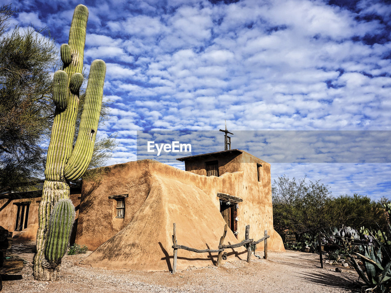 VIEW OF CLOUDY SKY OVER TREES