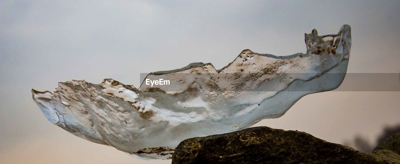 LOW ANGLE VIEW OF SNOW