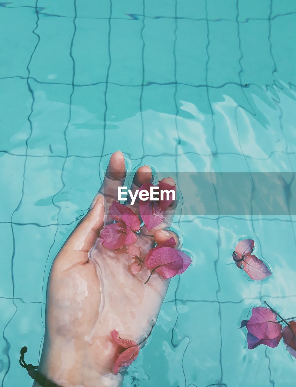 High angle view of person swimming in pool