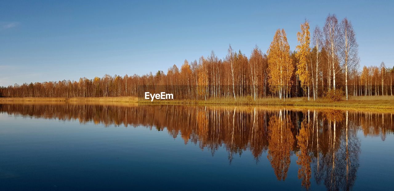 Scenic view of lake by trees against clear sky