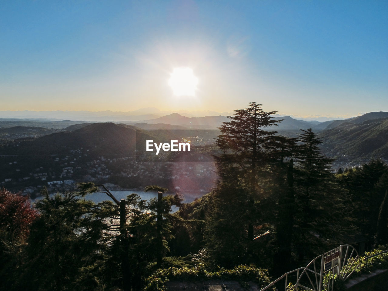 View of trees on mountain against sky