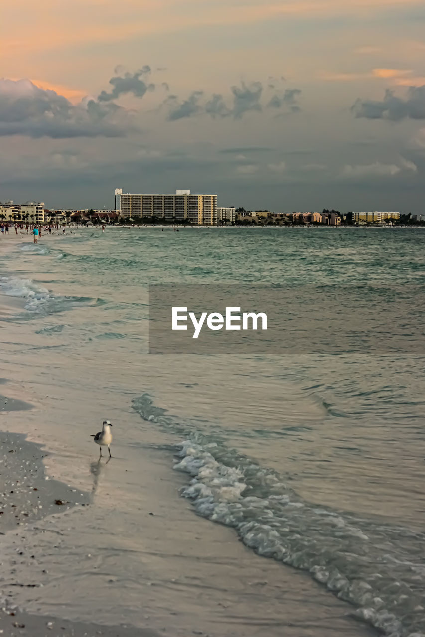 SCENIC VIEW OF BEACH AGAINST SKY DURING SUNSET