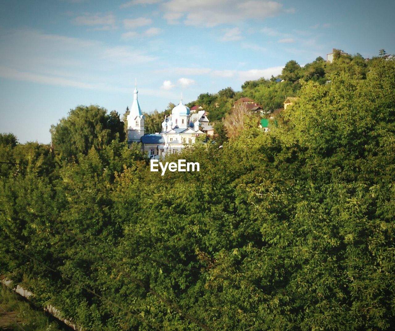 HIGH ANGLE VIEW OF TREES AGAINST SKY