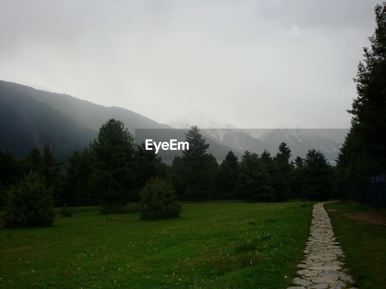 SCENIC VIEW OF GREEN LANDSCAPE AND MOUNTAINS