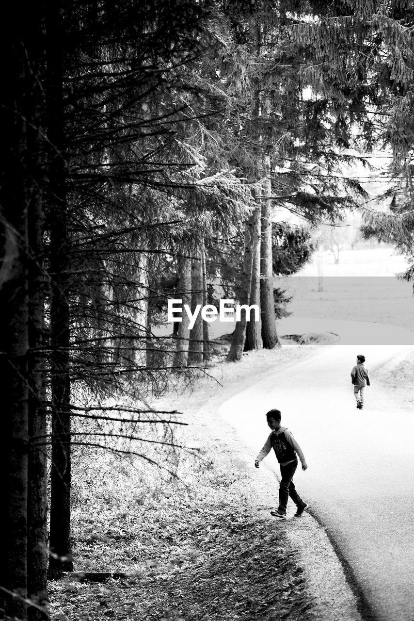 PEOPLE WALKING IN FOREST