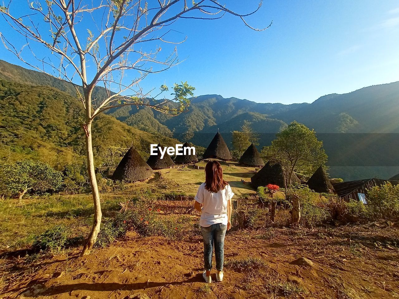 Girl standing by tree on mountain against sky