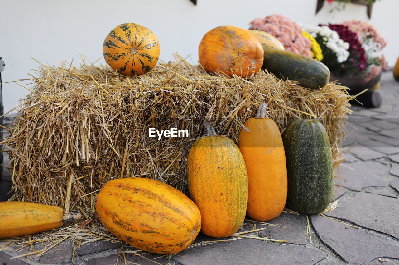 high angle view of pumpkins