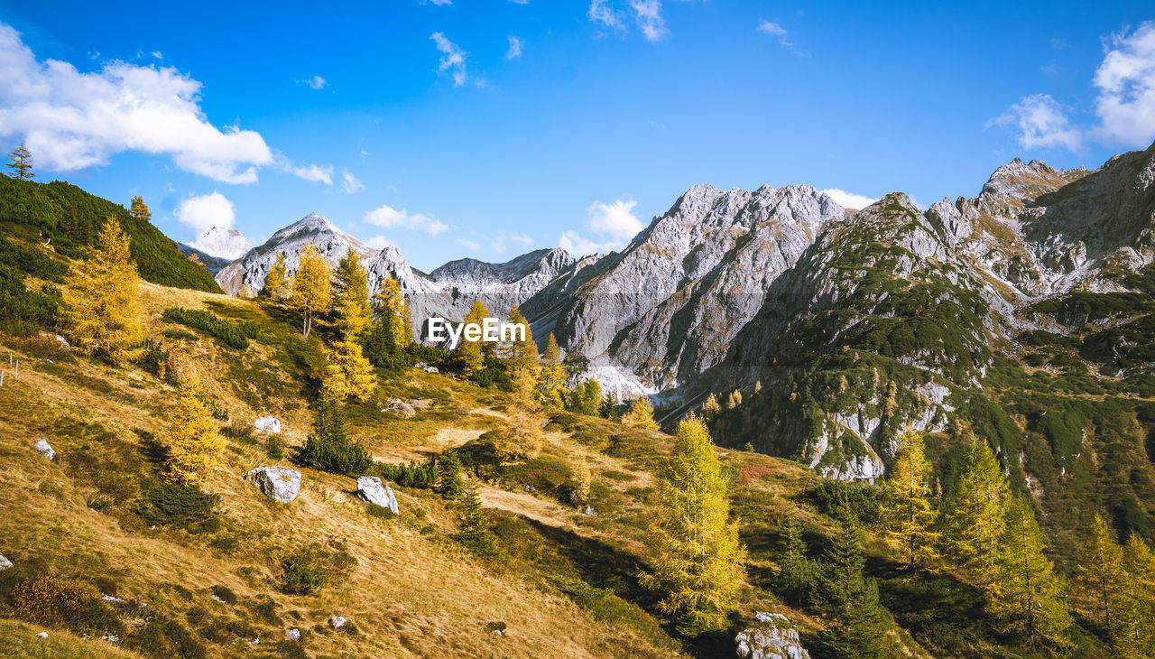 mountain, scenics - nature, environment, sky, landscape, beauty in nature, mountain range, nature, land, travel, pine tree, snow, travel destinations, wilderness, pinaceae, plant, coniferous tree, cloud, mountain peak, hiking, forest, tree, pine woodland, activity, cold temperature, adventure, walking, leisure activity, valley, blue, winter, tranquility, snowcapped mountain, mountain pass, ridge, outdoors, summer, tourism, rock, non-urban scene, tranquil scene, panoramic, backpacking, vacation, trip, grass, environmental conservation, idyllic, sunlight, day, holiday, sunny, meadow, vibrant color, autumn, social issues, clear sky