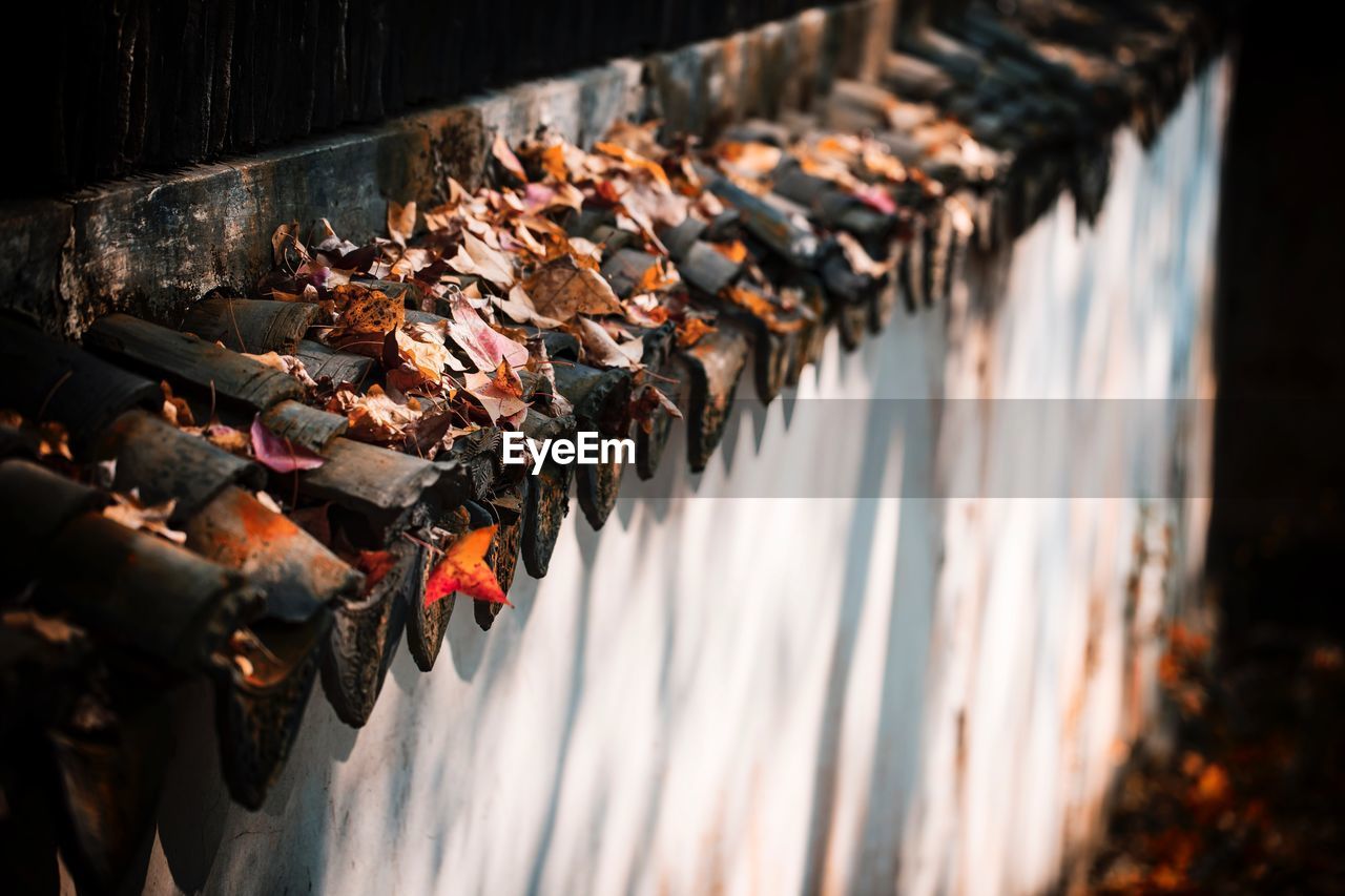 High angle view of padlocks hanging on wood