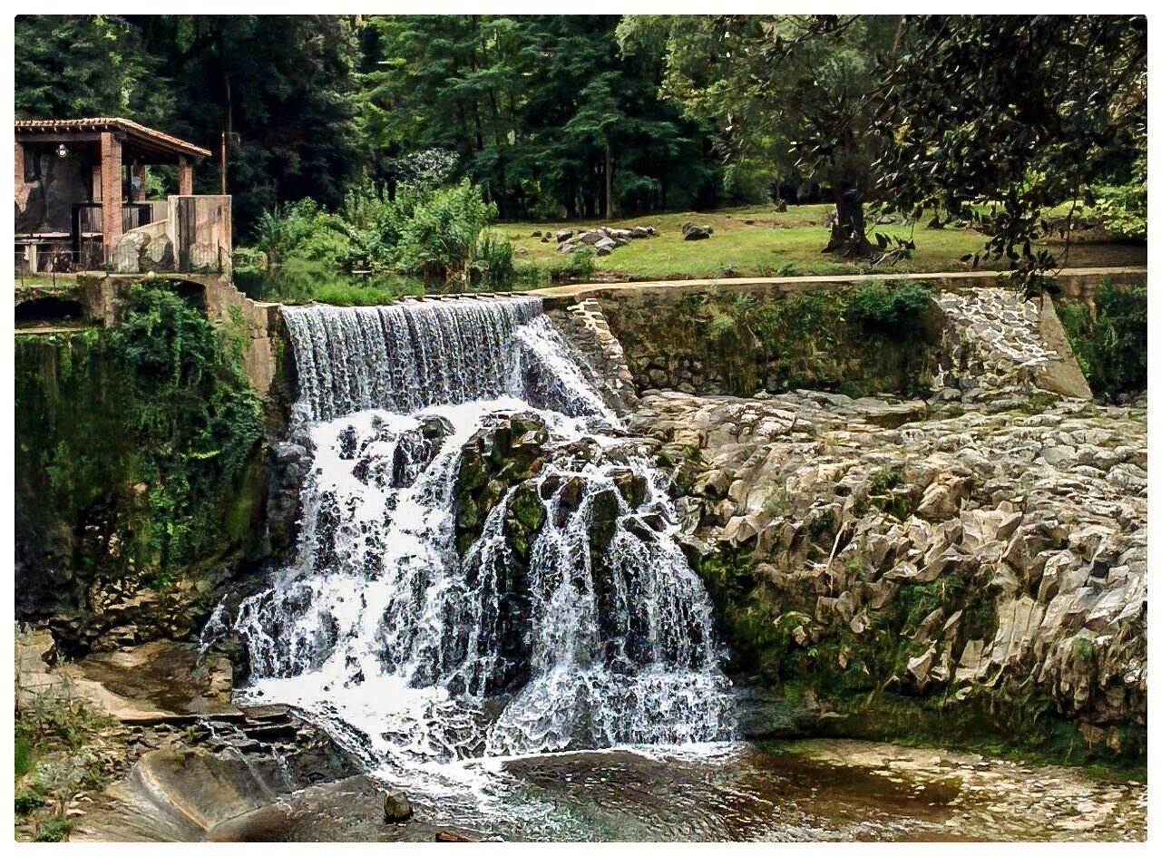 View of waterfall in park