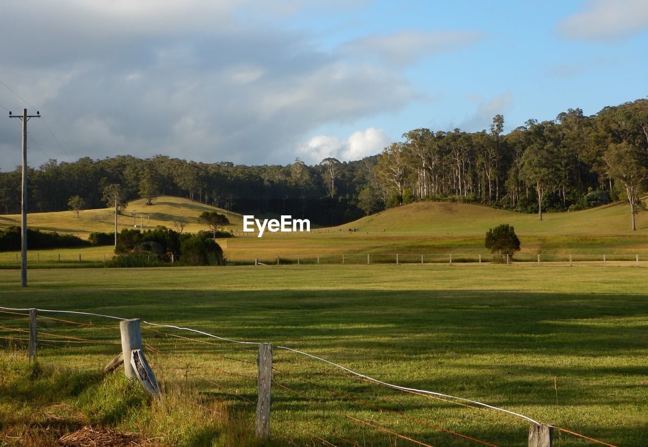 Scenic view of grassy field against sky