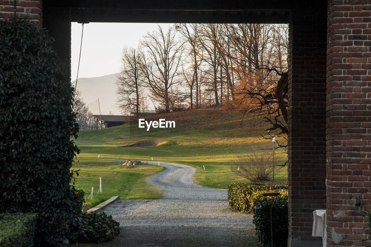 TREES AND PLANTS SEEN THROUGH HOUSE