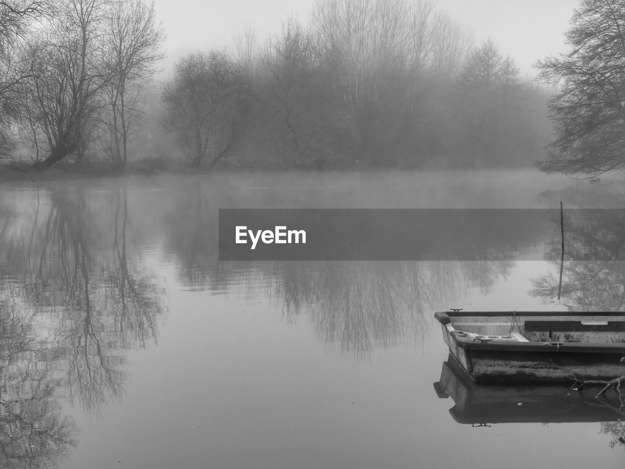 Scenic view of lake by trees