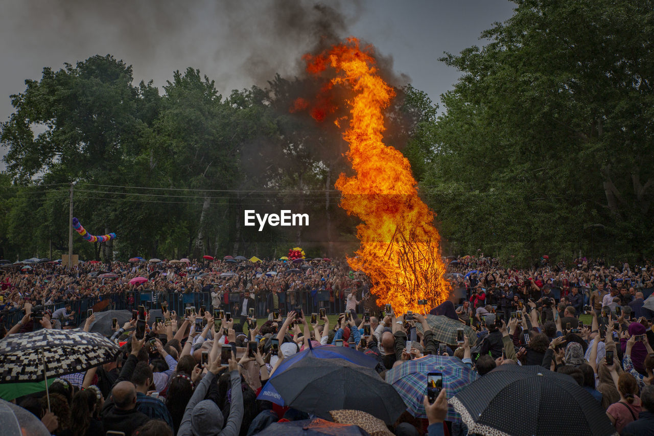 People photographing fire against trees