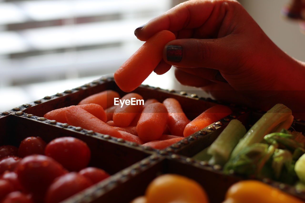 Cropped image of woman holding container with various vegetables