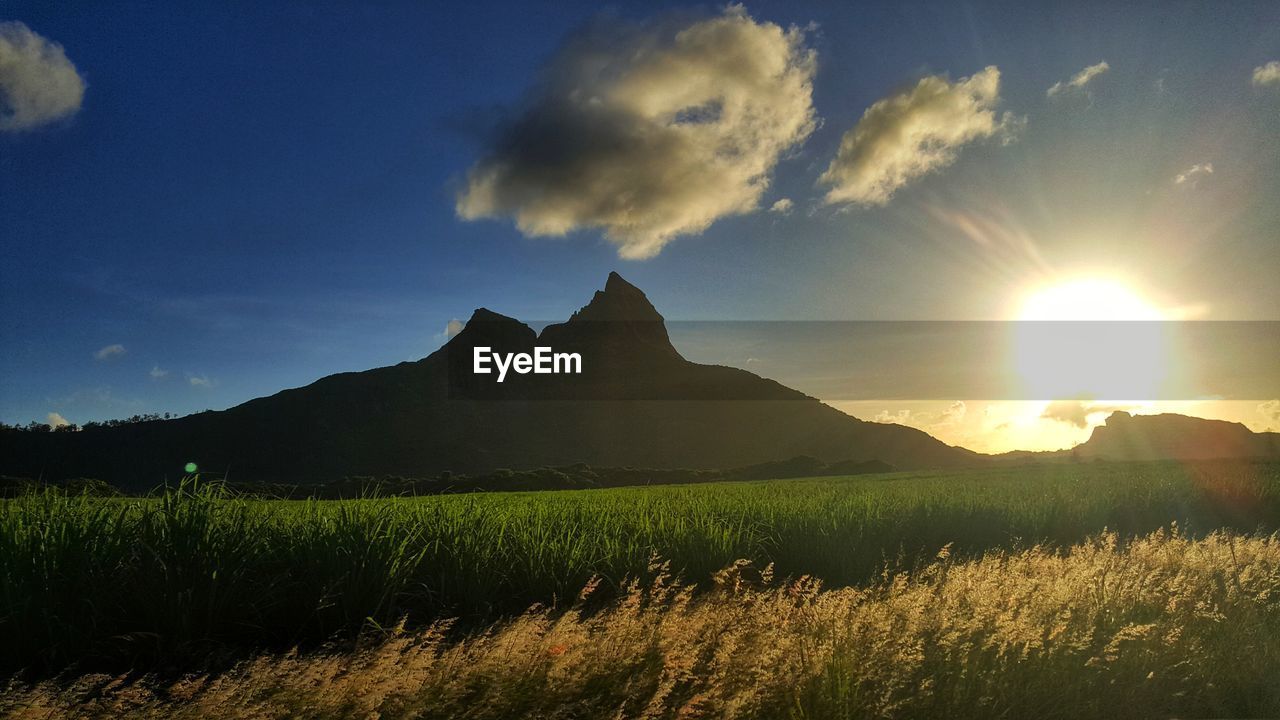 Scenic view of field against sky during sunset