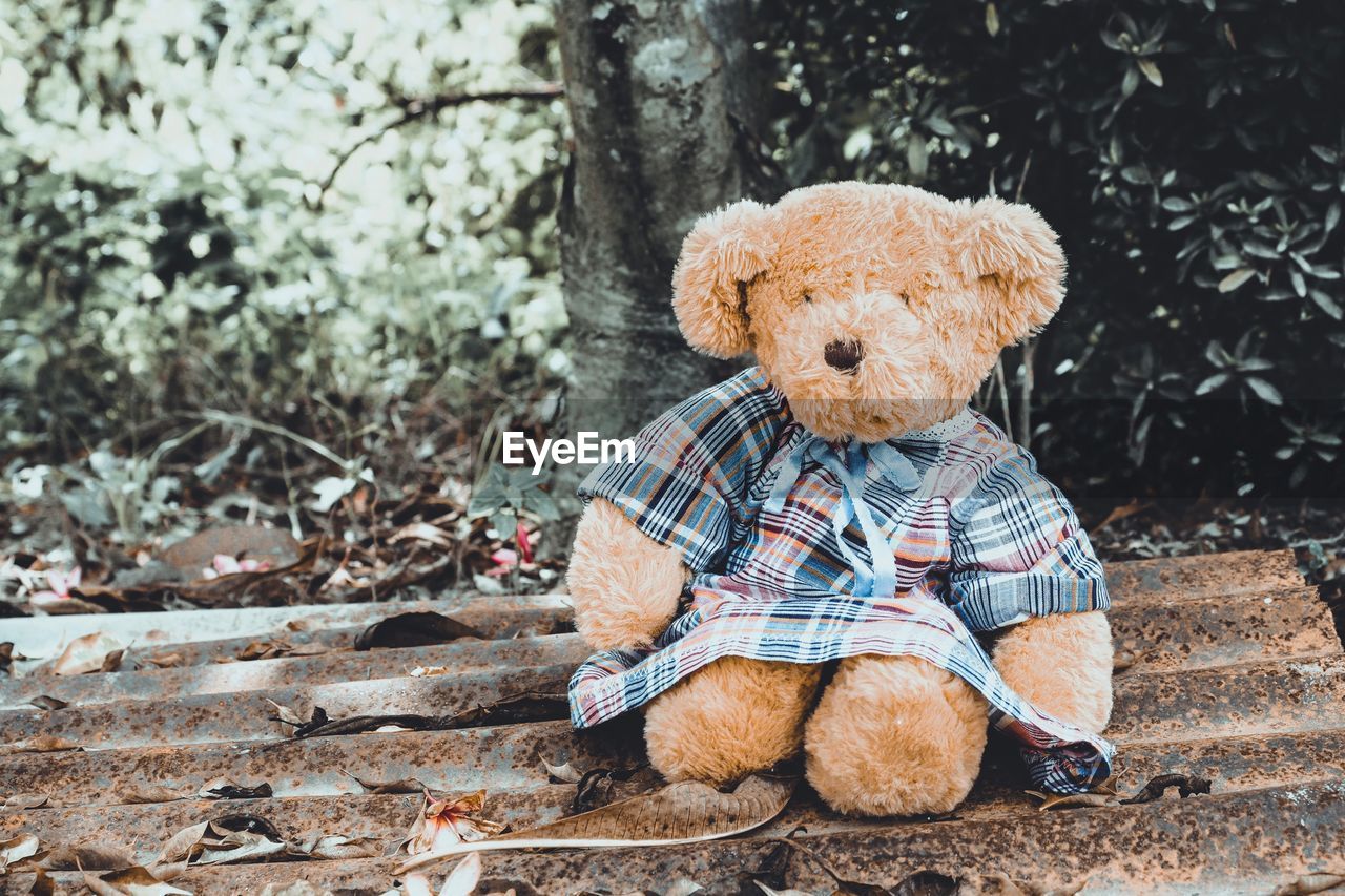 Close-up of teddy bear on rusty corrugated iron