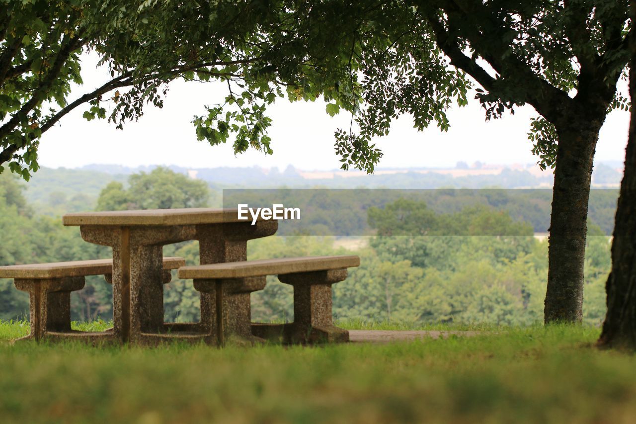 View of trees on landscape against sky