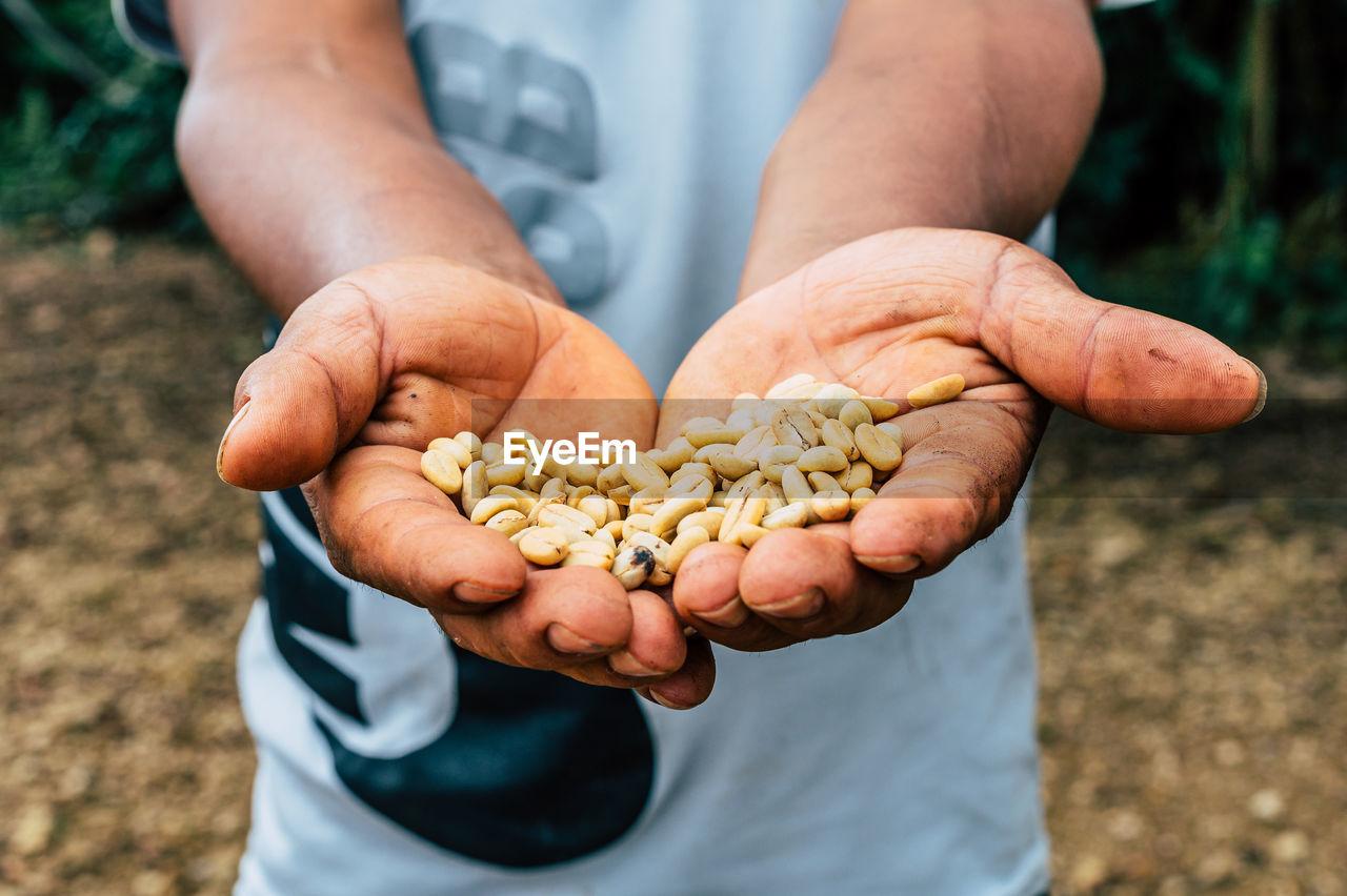 hand, food, one person, holding, agriculture, food and drink, crop, handful, nature, harvesting, adult, soil, plant, hands cupped, organic, growth, healthy eating, rural scene, men, wellbeing, land, landscape, freshness, close-up, vegetable, showing, outdoors, day, occupation, midsection, farm, focus on foreground, produce, environment, abundance, farmer, dirt, cereal plant, field, finger