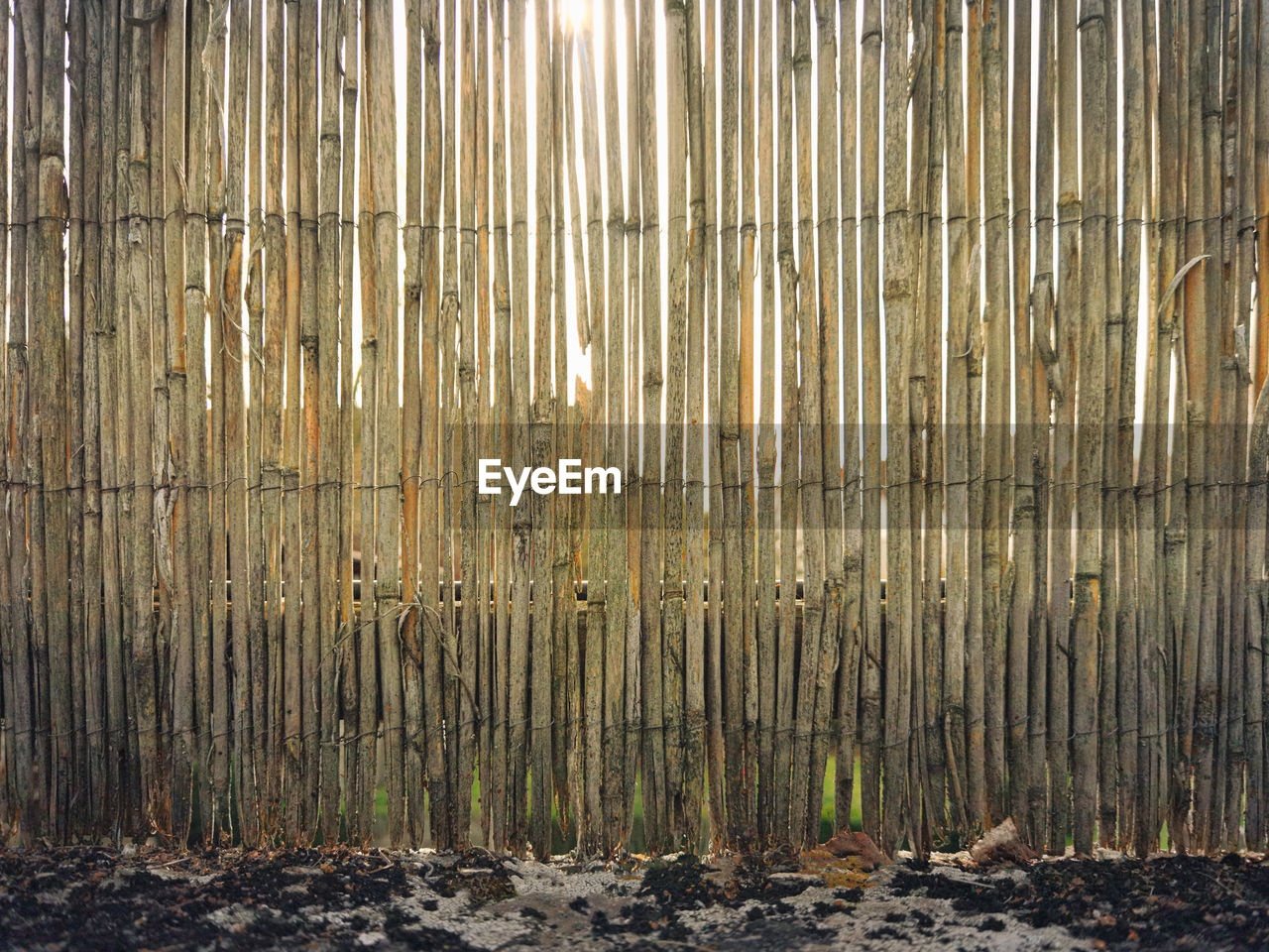 Full frame shot of a bamboo fence