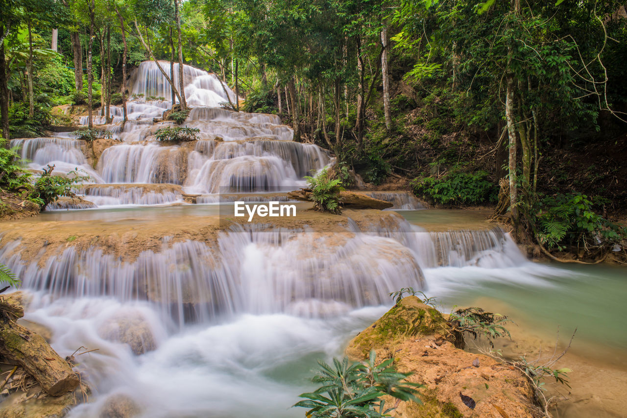 Scenic view of waterfall in forest